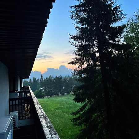 Apartment 2305 Hotel Alpin ポイアナ・ブラショフ エクステリア 写真