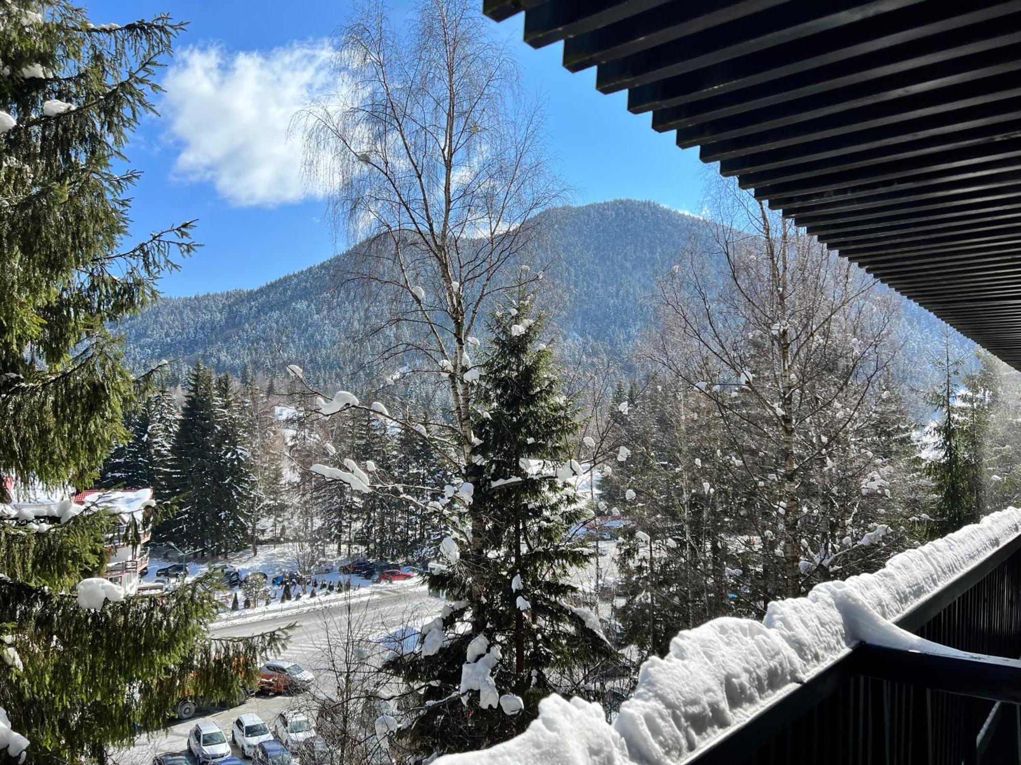 Apartment 2305 Hotel Alpin ポイアナ・ブラショフ エクステリア 写真